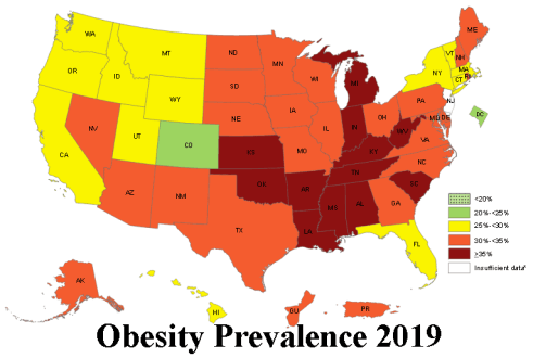 Obesity Map